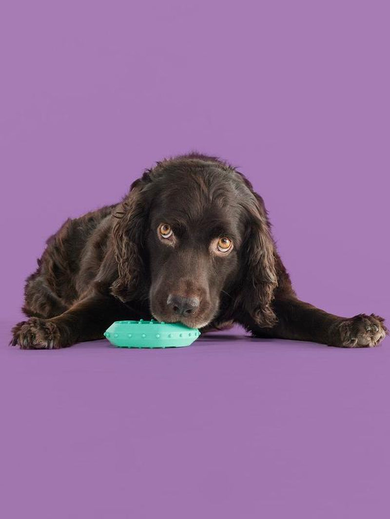 Yomp Chillchew Freezable Dog Toy - Cooling Chew Toy for Soft and Medium Chewers, Ideal for Frozen Treats and Teething, Crafted from Pet-Safe, Non-Toxic Silicone