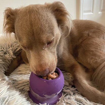 Freezball - Durable, Refillable Dog Chew Toy